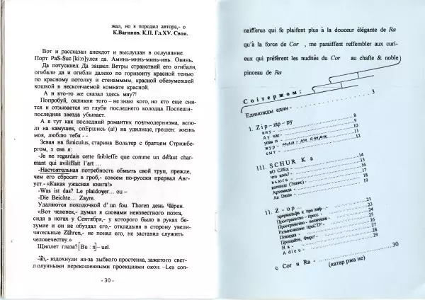 Книгаго: Z. Иллюстрация № 16