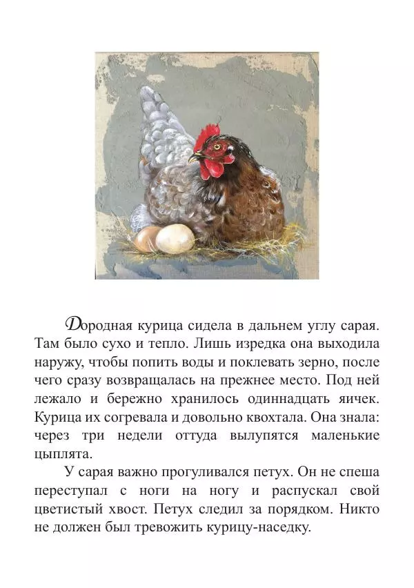 Книгаго: Цыплята. Иллюстрация № 3