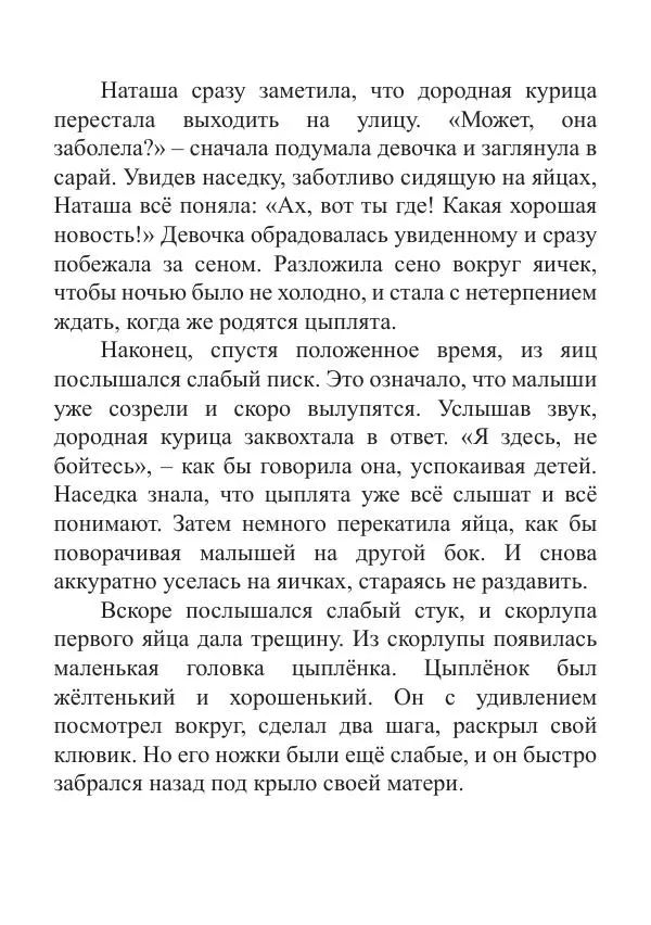 Книгаго: Цыплята. Иллюстрация № 5