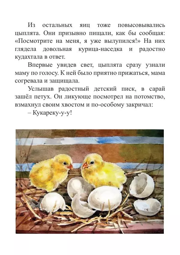 Книгаго: Цыплята. Иллюстрация № 6