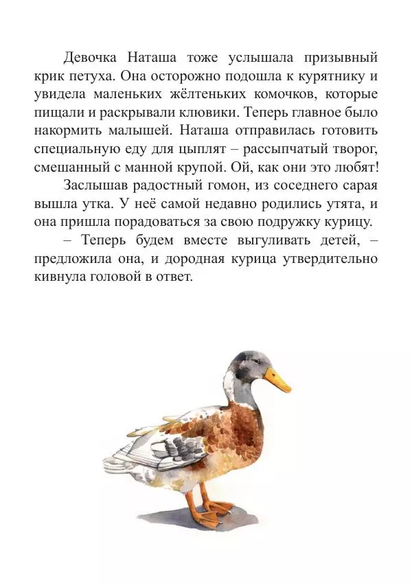 Книгаго: Цыплята. Иллюстрация № 8