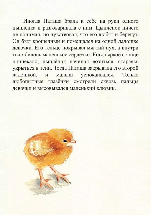 Книгаго: Цыплята. Иллюстрация № 10
