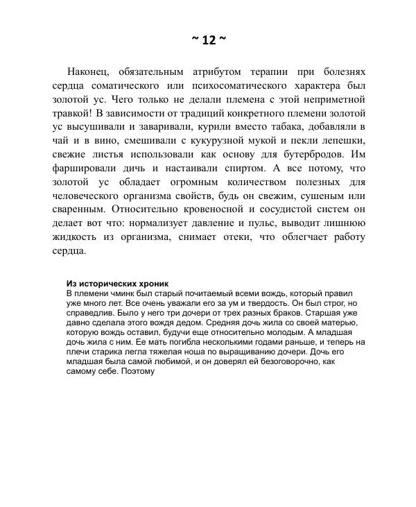 Книгаго: Лечебник майя. Иллюстрация № 13