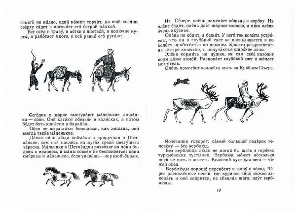 Книгаго: Письма из разных краев. Иллюстрация № 11