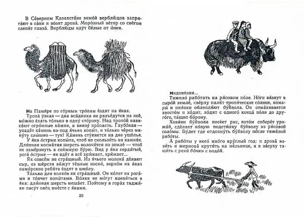 Книгаго: Письма из разных краев. Иллюстрация № 12