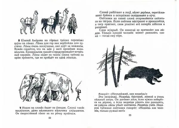 Книгаго: Письма из разных краев. Иллюстрация № 13