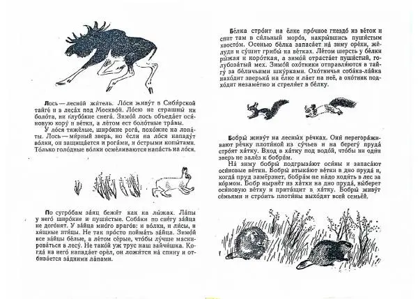 Книгаго: Письма из разных краев. Иллюстрация № 14