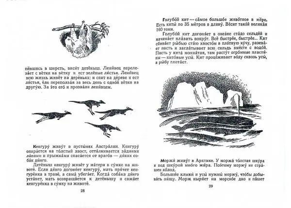 Книгаго: Письма из разных краев. Иллюстрация № 16