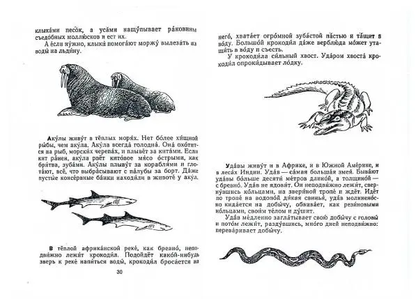 Книгаго: Письма из разных краев. Иллюстрация № 17