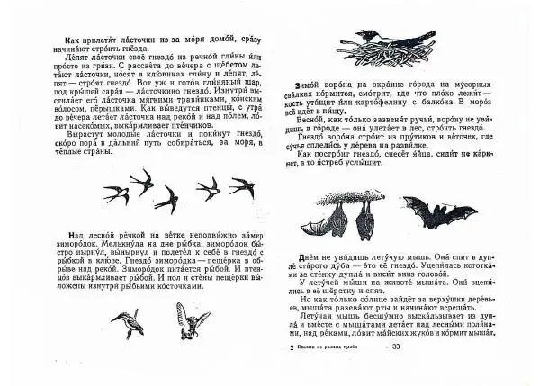 Книгаго: Письма из разных краев. Иллюстрация № 18