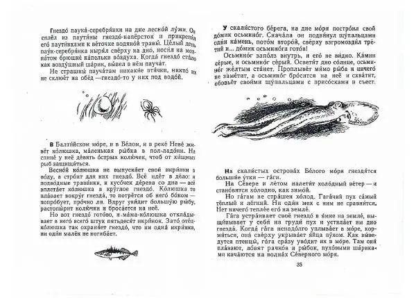 Книгаго: Письма из разных краев. Иллюстрация № 19