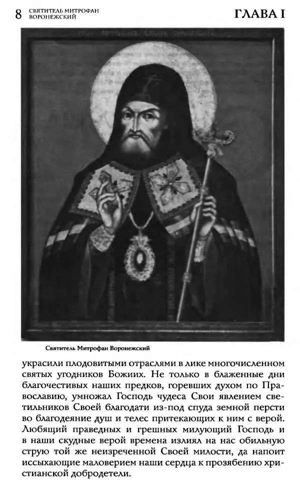 Книгаго: Жития святителей Митрофана Воронежского и Тихона Задонского. Иллюстрация № 8