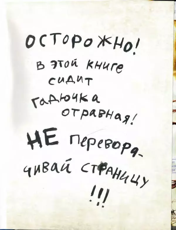 Книгаго: Неполная книга драконов. Иллюстрация № 5