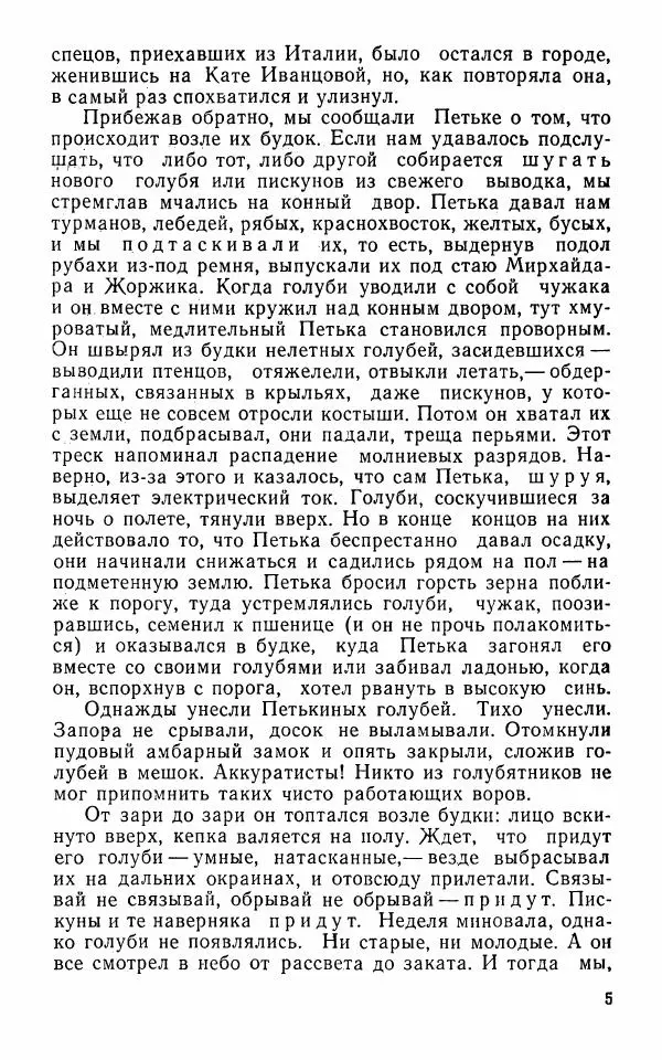 Книгаго: Голубиная охота. Иллюстрация № 7