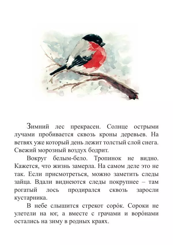 Книгаго: Новый год в лесу. Иллюстрация № 3