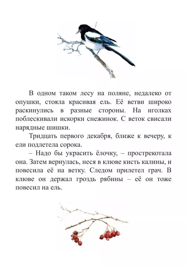 Книгаго: Новый год в лесу. Иллюстрация № 5