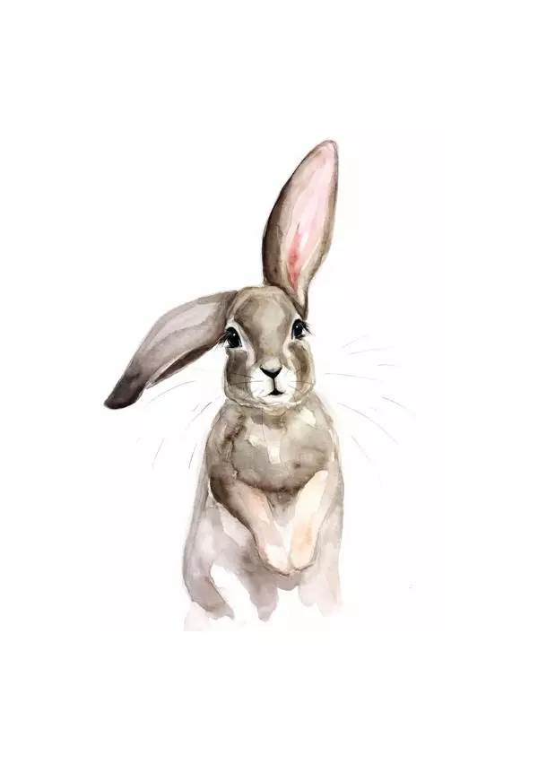 Книгаго: Новый год в лесу. Иллюстрация № 6