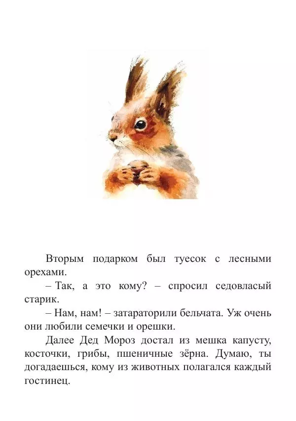 Книгаго: Новый год в лесу. Иллюстрация № 25