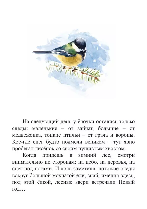 Книгаго: Новый год в лесу. Иллюстрация № 30