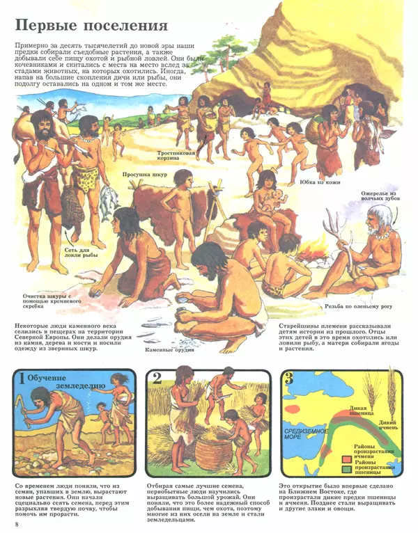 Книгаго: История в школе и дома. Древний мир. Иллюстрация № 8