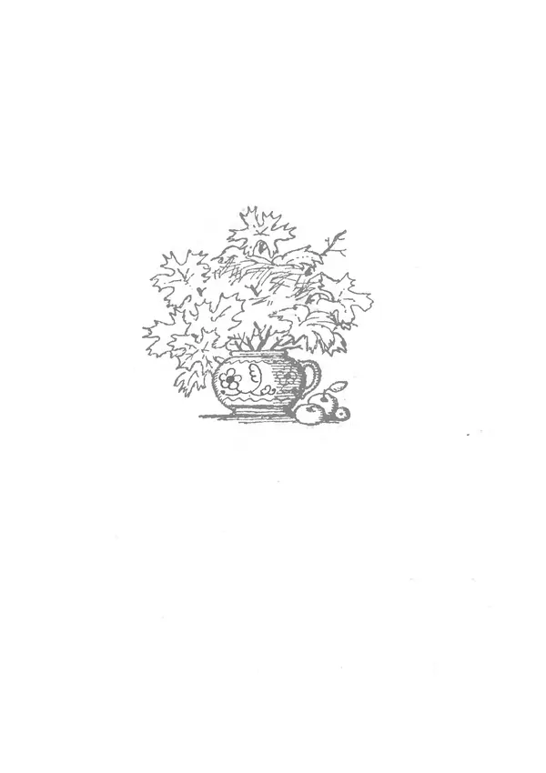 Книгаго: Шум и Шумок . Иллюстрация № 7