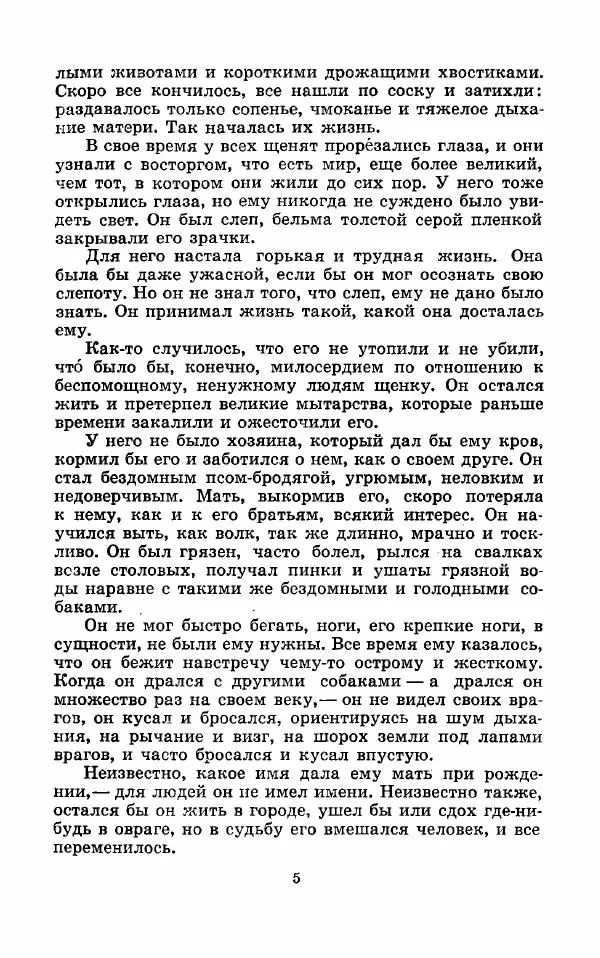 Книгаго: Арктур - гончий пёс. Рассказы. Иллюстрация № 6