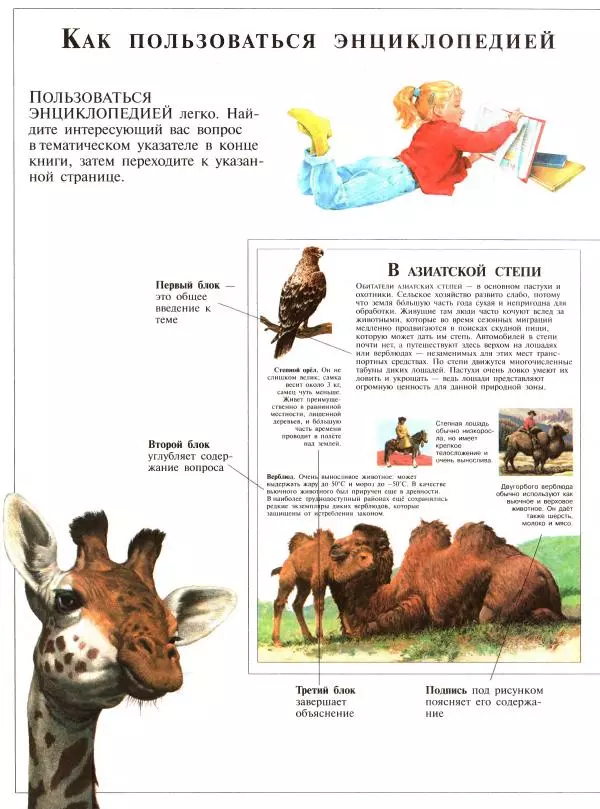 Книгаго: Большая энциклопедия животных. Иллюстрация № 2