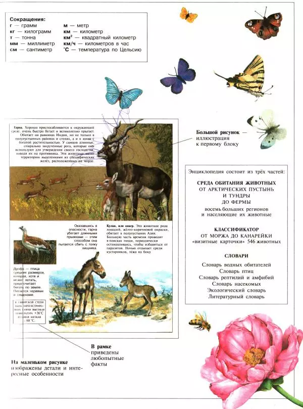Книгаго: Большая энциклопедия животных. Иллюстрация № 3
