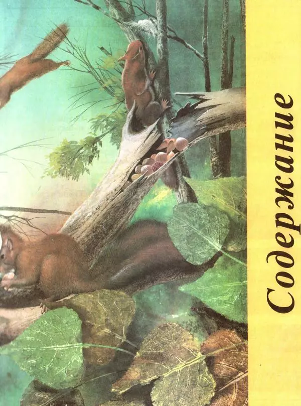 Книгаго: Большая энциклопедия животных. Иллюстрация № 5