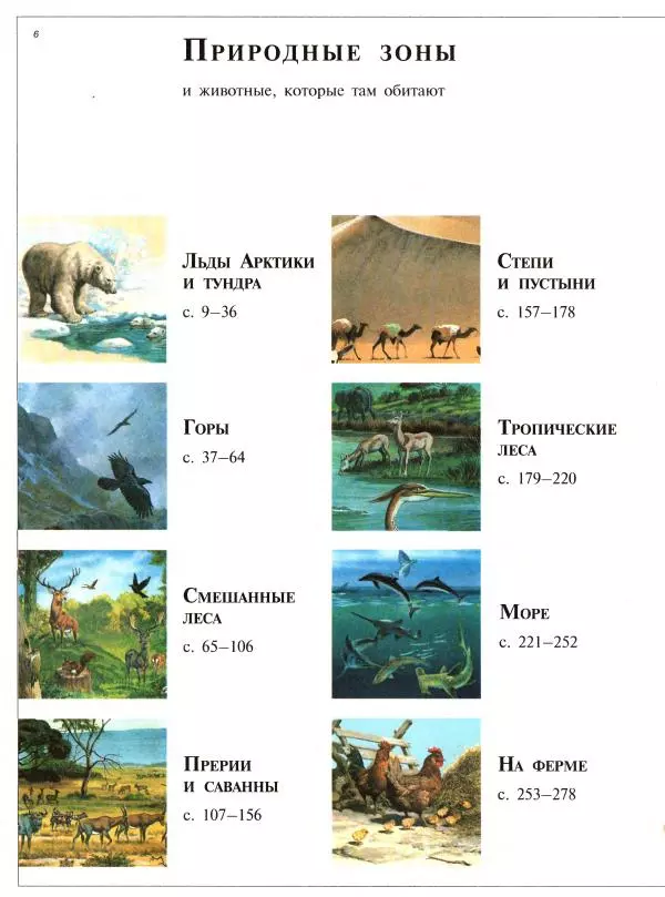 Книгаго: Большая энциклопедия животных. Иллюстрация № 6