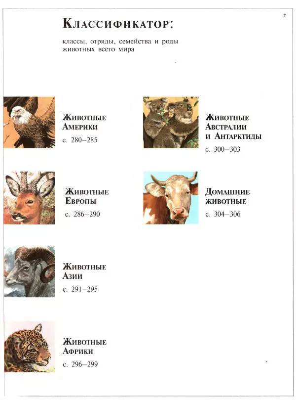 Книгаго: Большая энциклопедия животных. Иллюстрация № 7