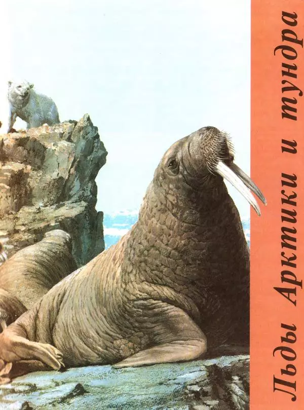 Книгаго: Большая энциклопедия животных. Иллюстрация № 9