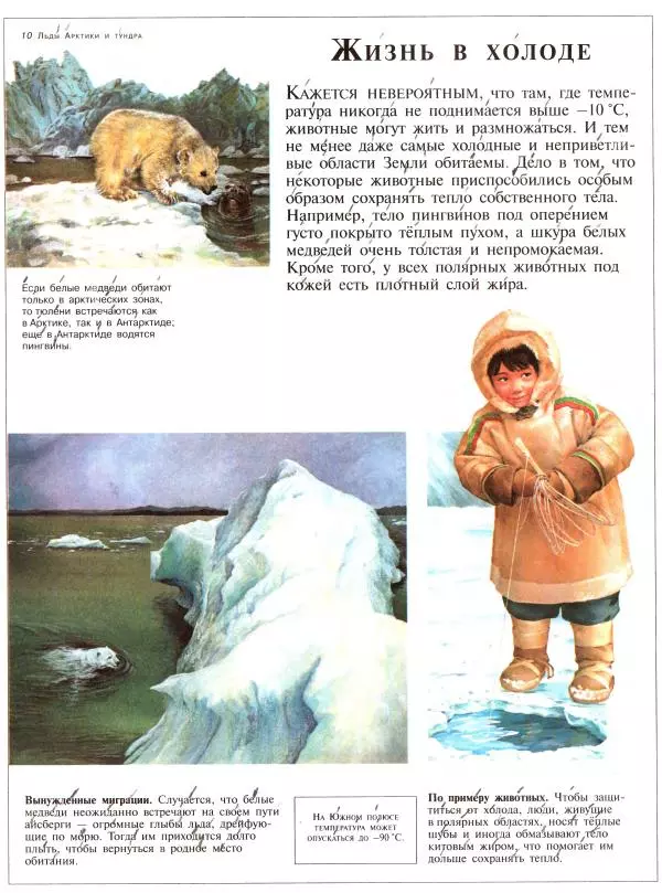 Книгаго: Большая энциклопедия животных. Иллюстрация № 10