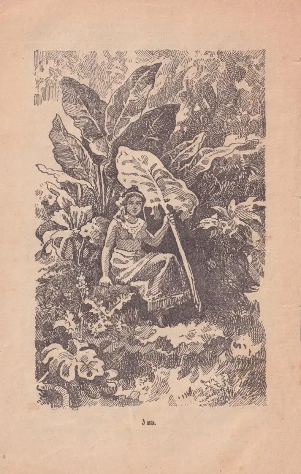 Книгаго: Вечернія бесѣды на островѣ. Иллюстрация № 7