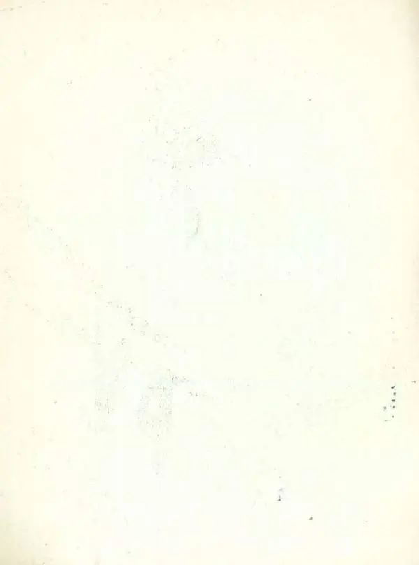 Книгаго: Смерч. Иллюстрация № 2