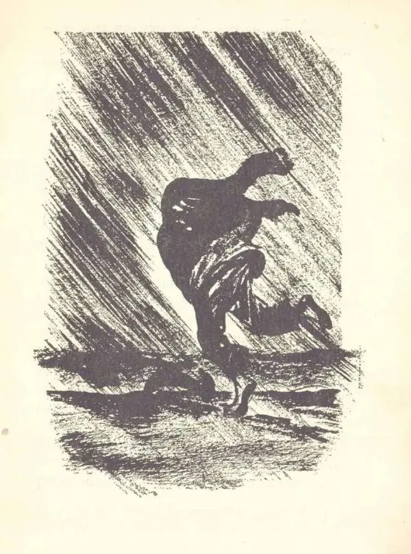 Книгаго: Смерч. Иллюстрация № 7