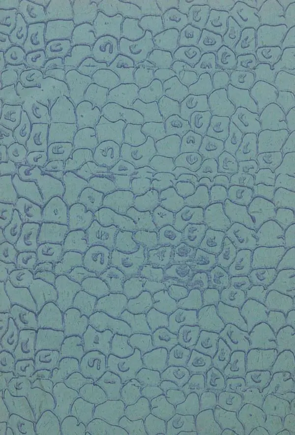 Книгаго: Земля. Описание жизни земного шара в 12 томах, том 11. Иллюстрация № 3