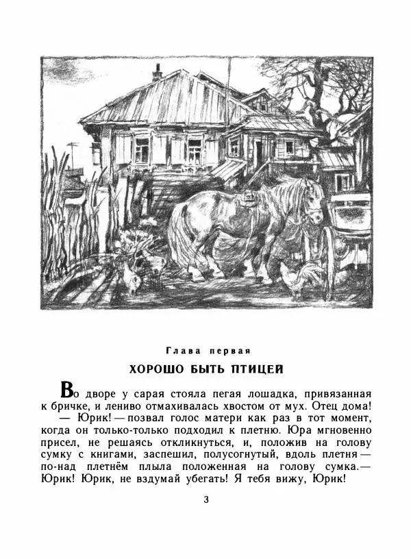 Книгаго: Живое дерево. Иллюстрация № 8