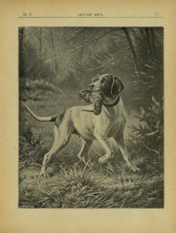 Книгаго: Детский мир 1907 №03. Иллюстрация № 9