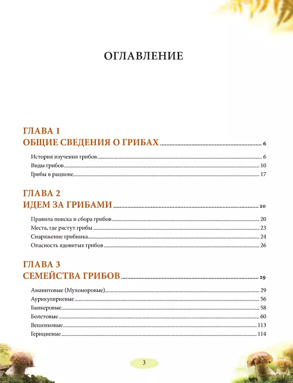 Книгаго: Грибы. Иллюстрированное руководство по сбору, переработке, хранению. Иллюстрация № 3