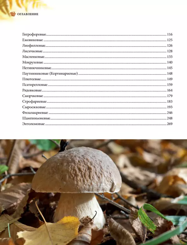 Книгаго: Грибы. Иллюстрированное руководство по сбору, переработке, хранению. Иллюстрация № 4