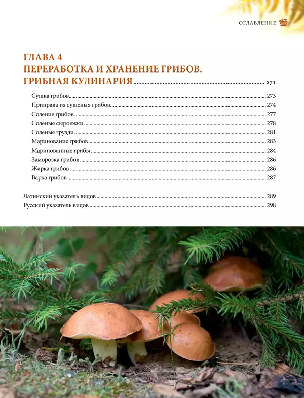 Книгаго: Грибы. Иллюстрированное руководство по сбору, переработке, хранению. Иллюстрация № 5