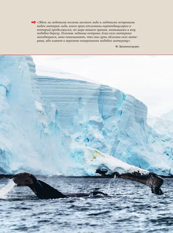 Книгаго: Антарктида. История изучения ледяного континента. Иллюстрация № 7