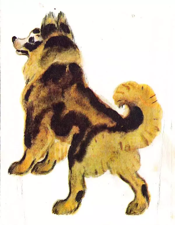 Книгаго: Загадки. Иллюстрация № 8