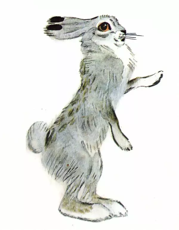 Книгаго: Загадки. Иллюстрация № 9