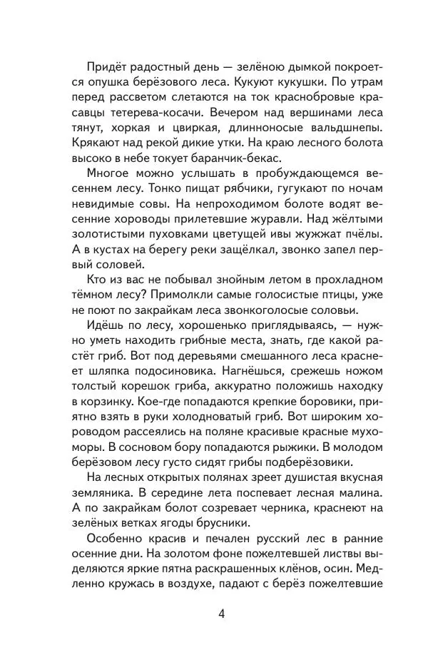 Книгаго: Русский лес. Иллюстрация № 5