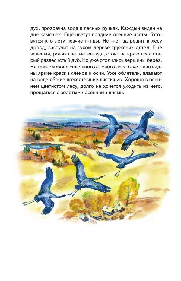 Книгаго: Русский лес. Иллюстрация № 7