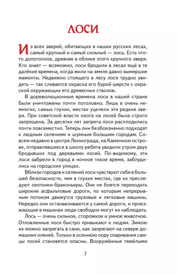 Книгаго: Русский лес. Иллюстрация № 8