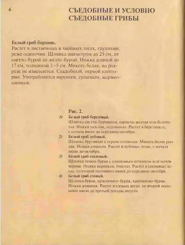 Книгаго: Большой определитель грибов. Иллюстрация № 6